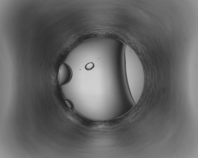 X0000111510750200907141104