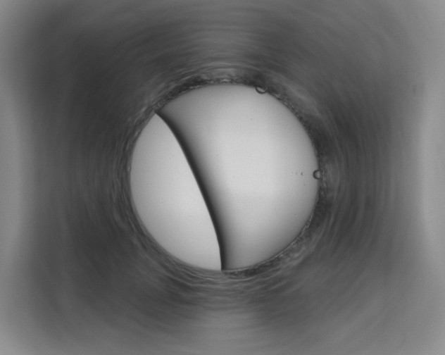 X0000111510751200907141104