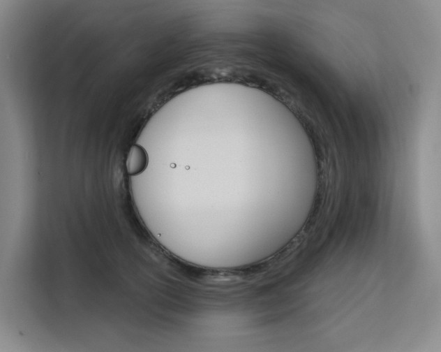 X0000111510754200907141104