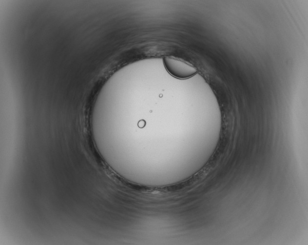X0000111510755200907141104