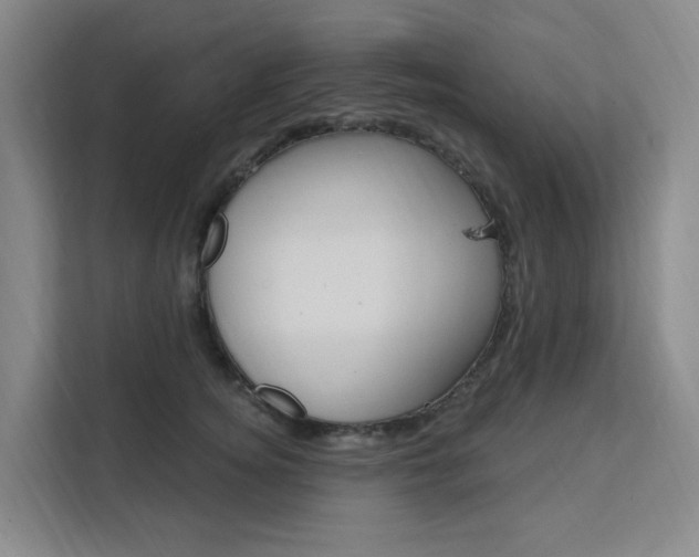 X0000111510756200907141104