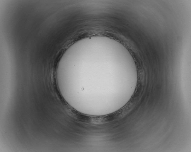 X0000111510757200907141104