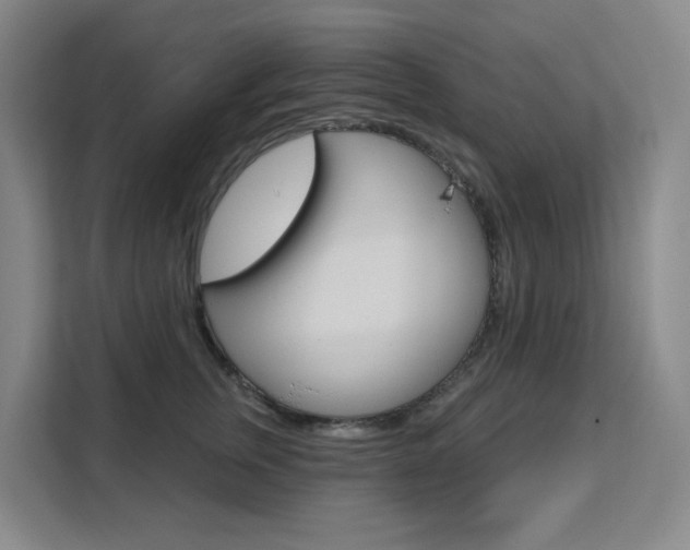 X0000111510759200907141104