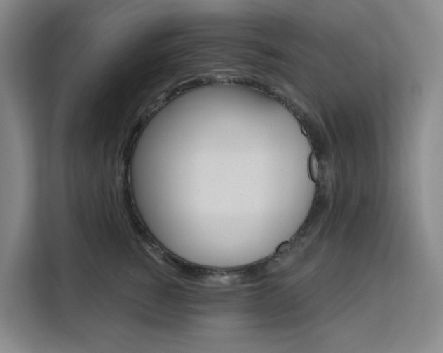 X0000111510760200907141104