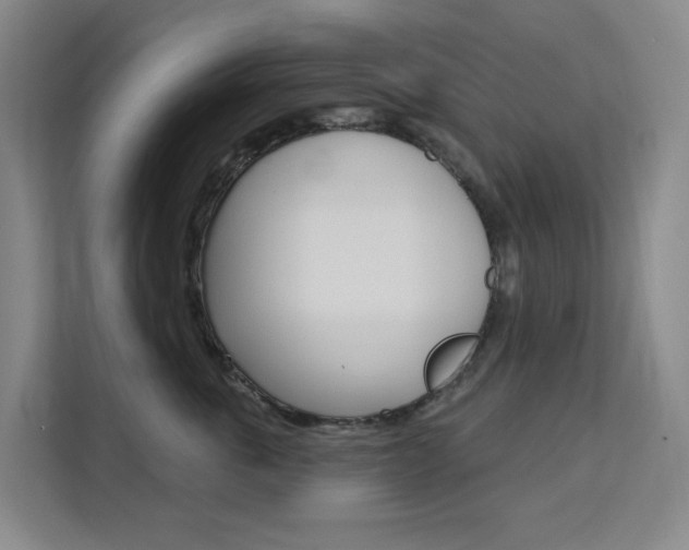 X0000111510763200907141104