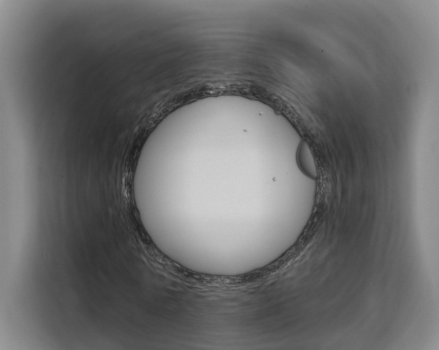 X0000111510770200907141103
