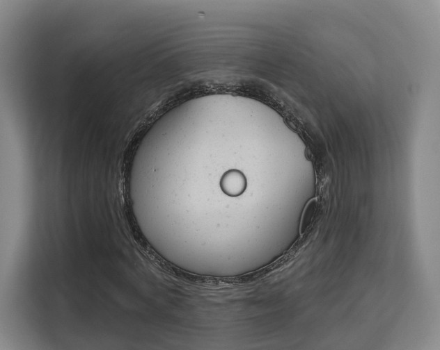 X0000111510772200907141103