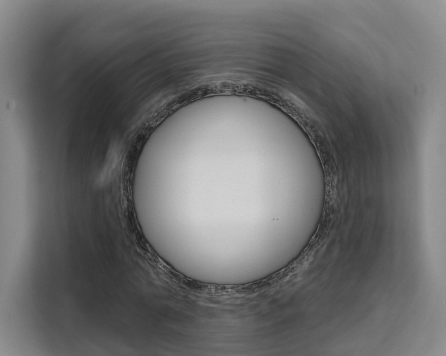X0000111510774200907141103
