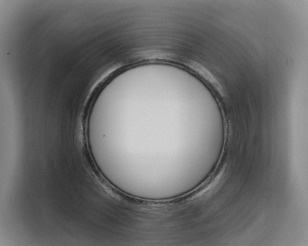 X0000111510782200907141103