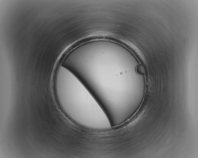 X0000111510783200907141103