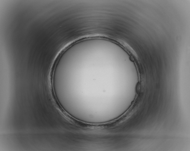 X0000111510789200907141103
