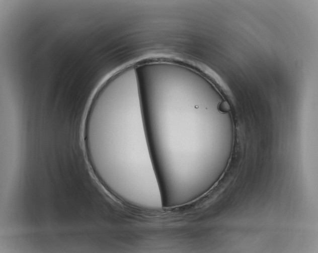 X0000111510791200907141103