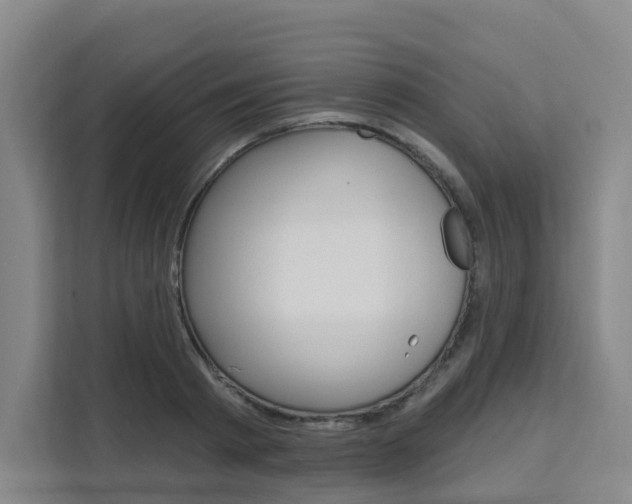 X0000111510793200907141103