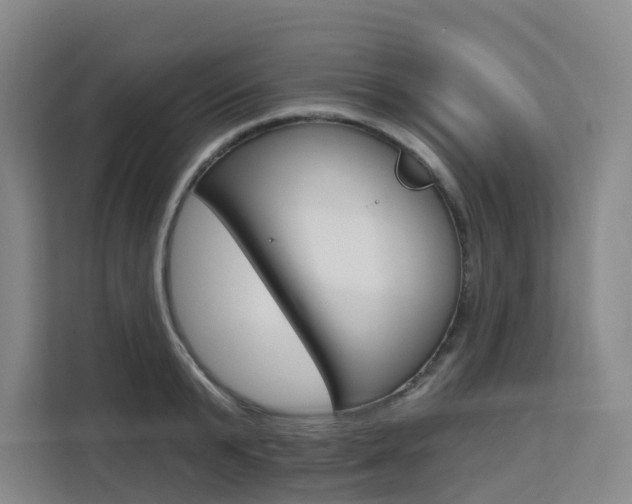 X0000111510799200907141103