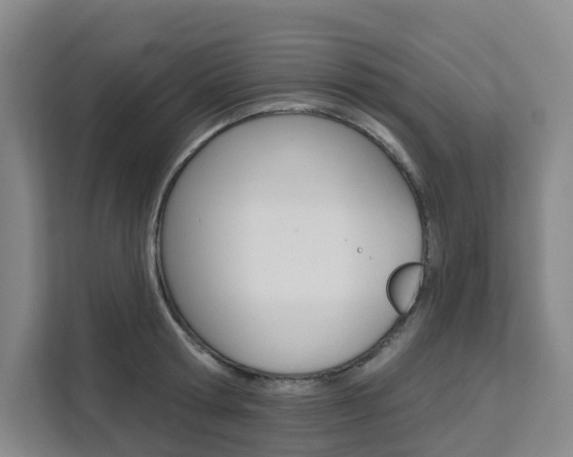 X0000111510802200907141103