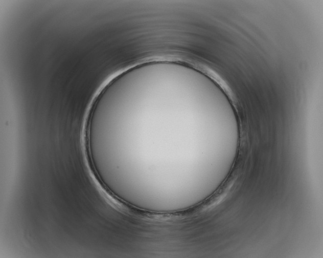 X0000111510803200907141103
