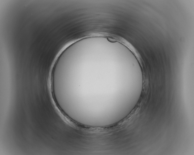 X0000111510811200907141103