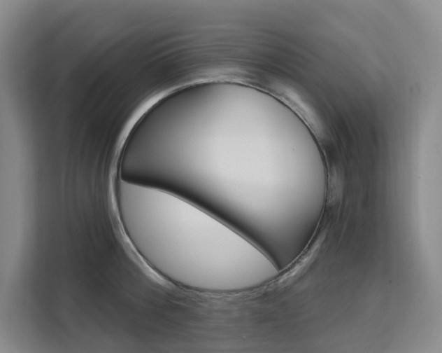 X0000111510812200907141103