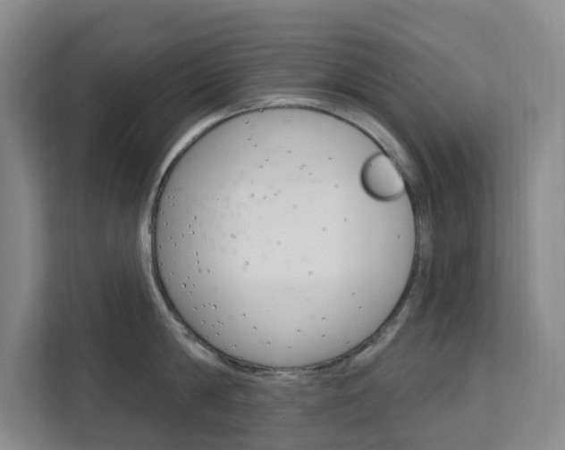 X0000111510814200907141103