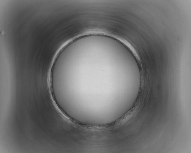 X0000111510815200907141103