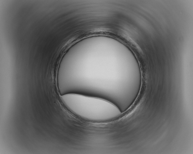 X0000111510825200907141102