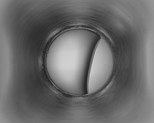 X0000111510826200907141102