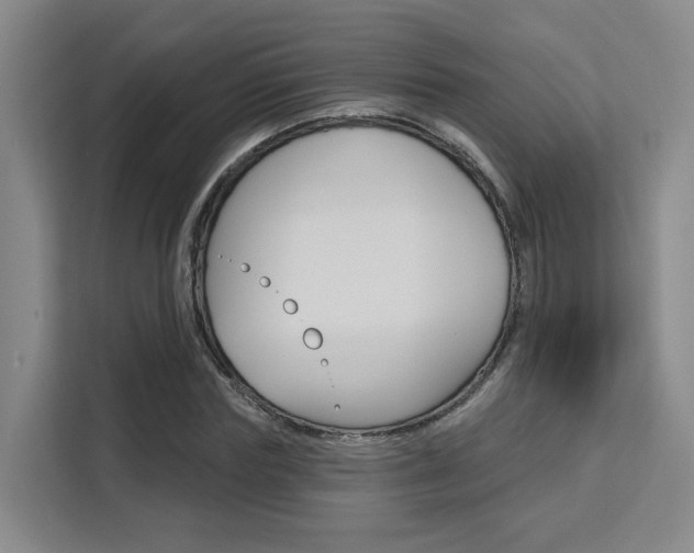 X0000111510827200907141102