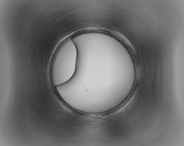 X0000111510831200907141102