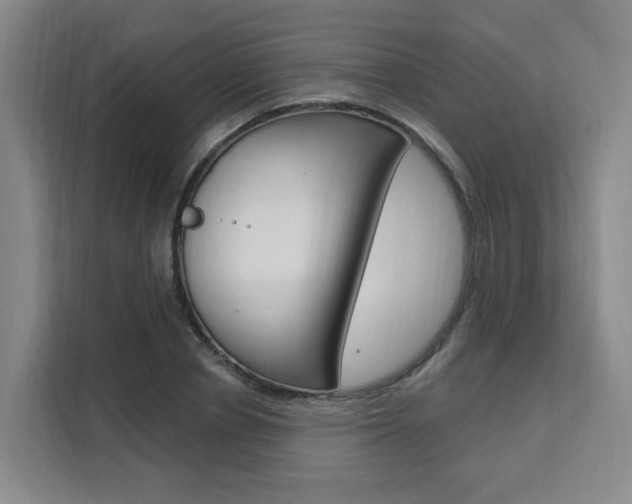 X0000111510834200907141102