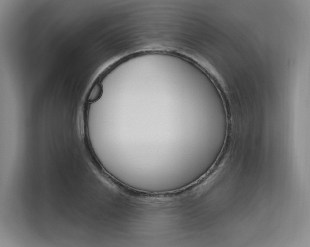 X0000111510838200907141102