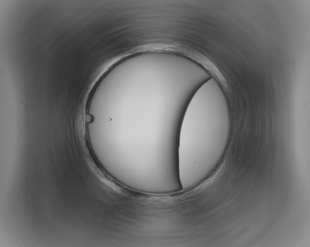 X0000111510844200907141102
