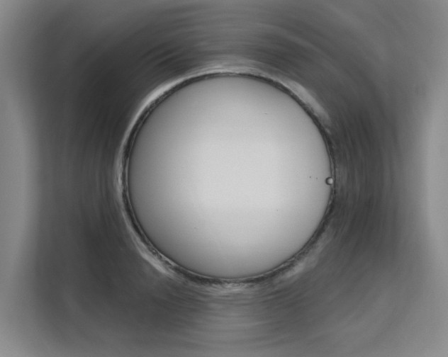 X0000111510846200907141102