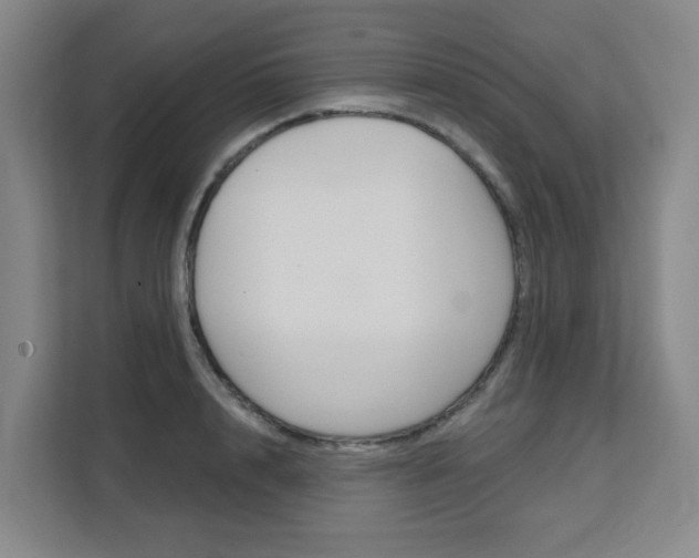 X0000111510848200907141102