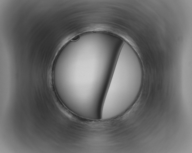 X0000111510850200907141102