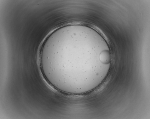 X0000111510851200907141102