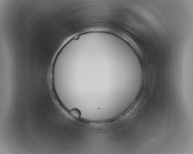X0000111510852200907141102