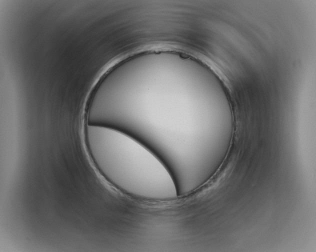 X0000111510853200907141102