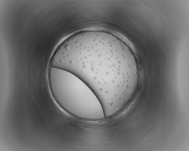 X0000111510855200907141103