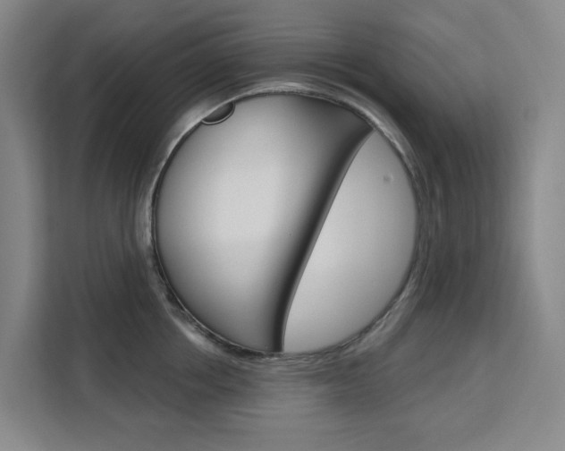 X0000111510858200907141103