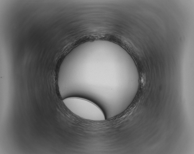 X0000111510867200907141102