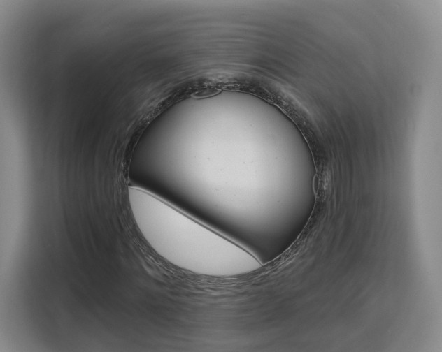 X0000111510868200907141102