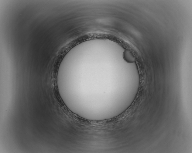 X0000111510870200907141102