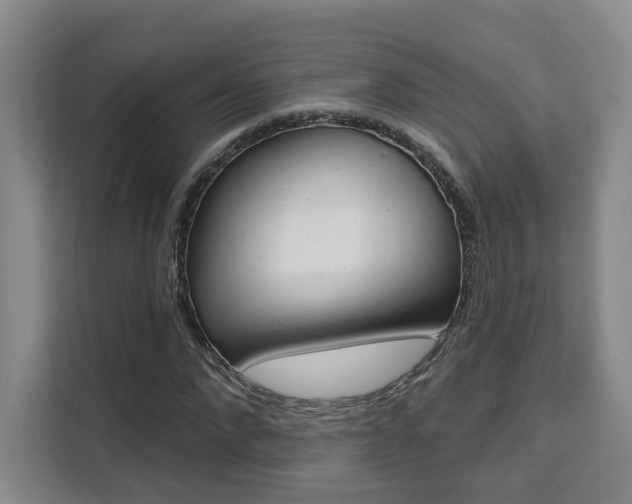 X0000111510872200907141102