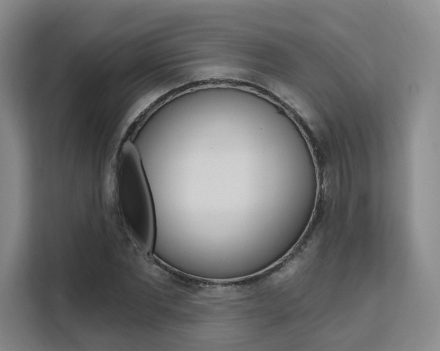 X0000111510877200907141102