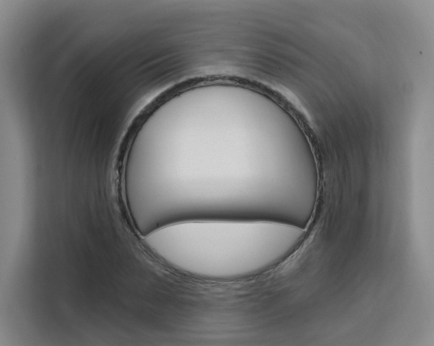 X0000111510879200907141102