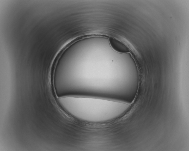 X0000111510884200907141102