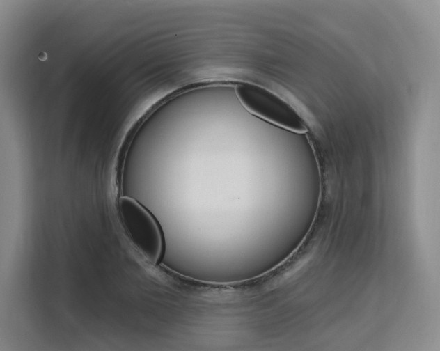 X0000111510885200907141102
