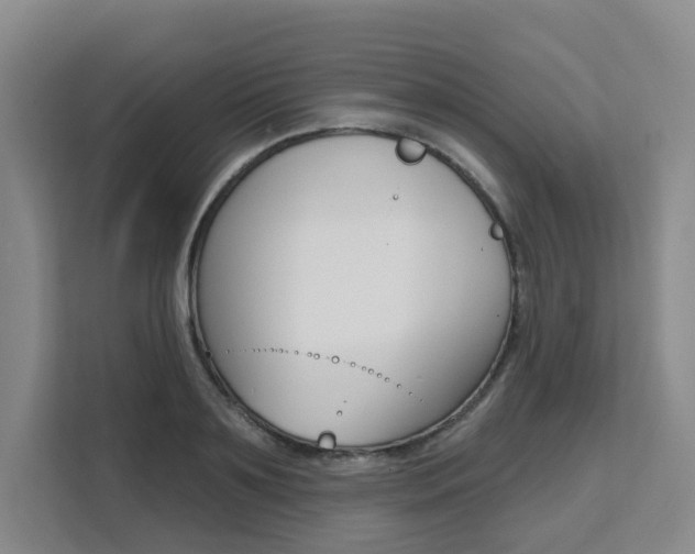 X0000111510891200907141101
