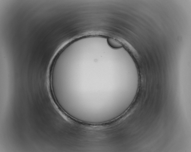 X0000111510894200907141101