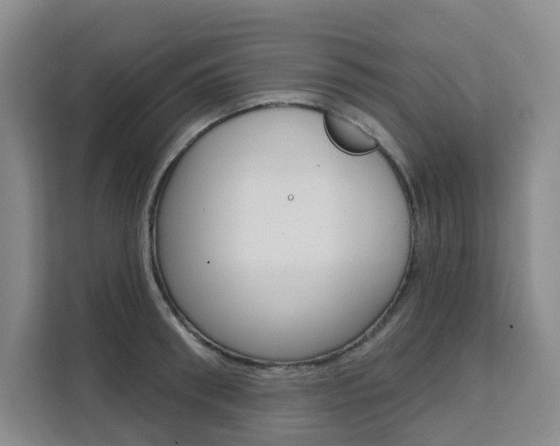 X0000111510898200907141101